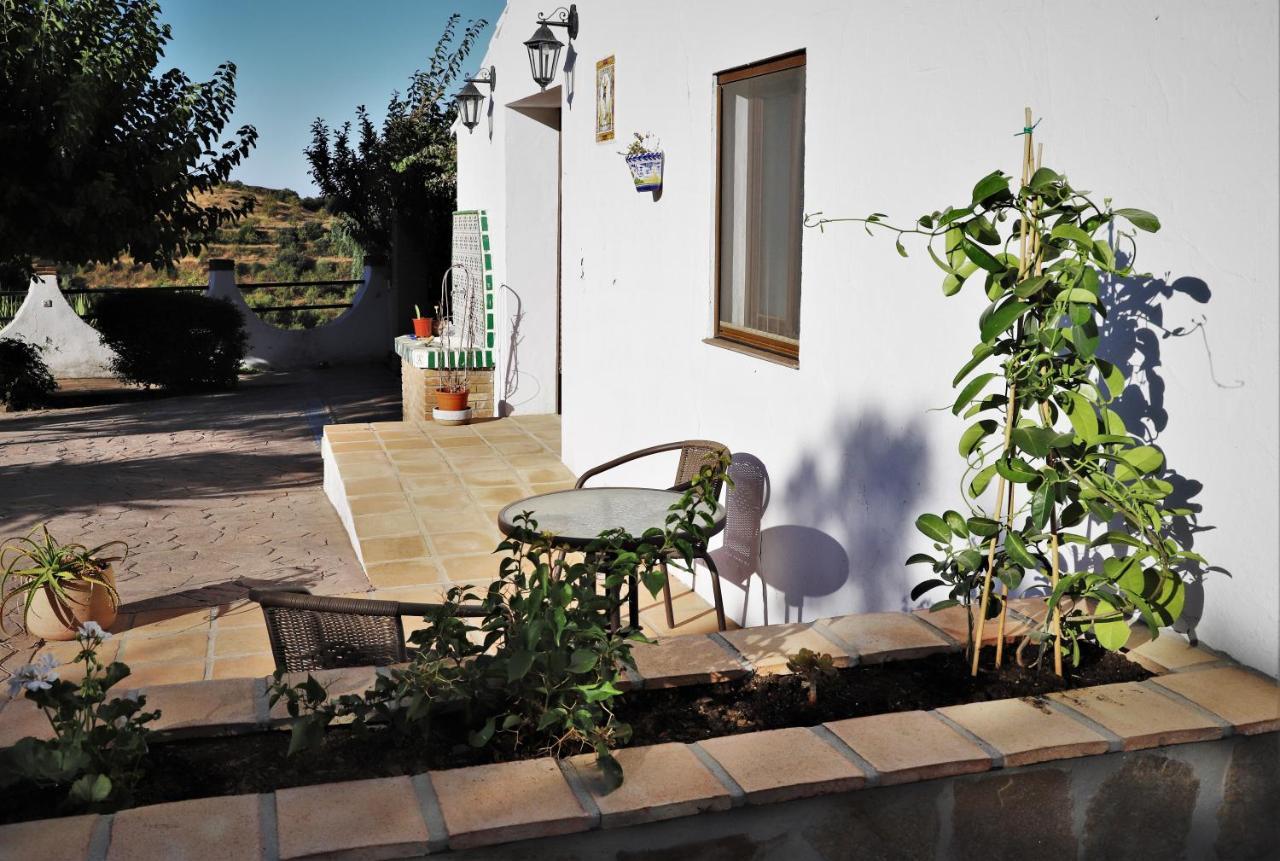 Finca La Meica Bed&Breakfast 卡萨韦梅哈 外观 照片
